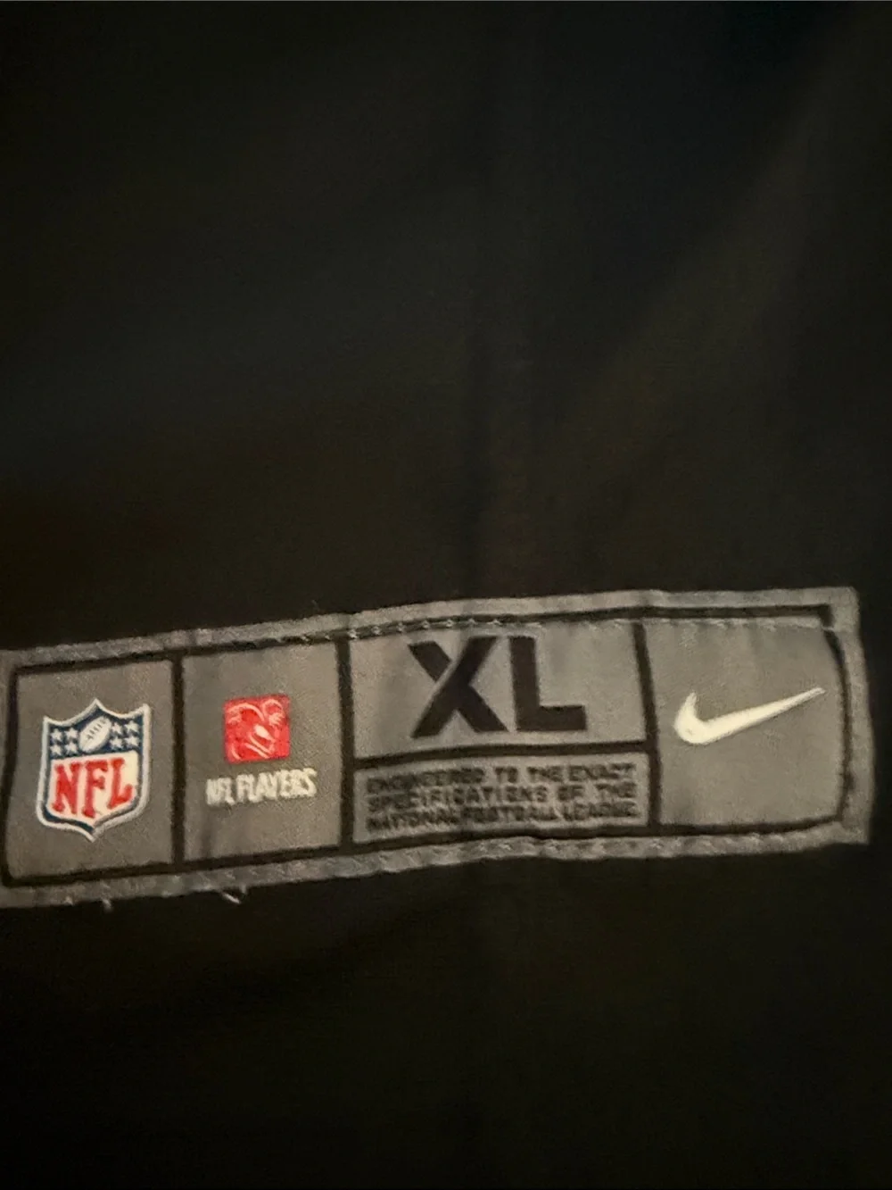 Carolina panthers NFL Nike Team Jersey in Black with White Accents